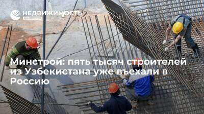 Михаил Мишустин - Никита Стасишин - Минстрой: пять тысяч строителей из Узбекистана уже въехали в Россию - realty.ria.ru - Москва - Россия - Узбекистан - Тула - Калуга - Строительство