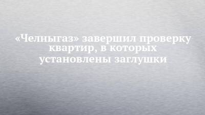 «Челныгаз» завершил проверку квартир, в которых установлены заглушки - chelny-izvest.ru - Набережные Челны