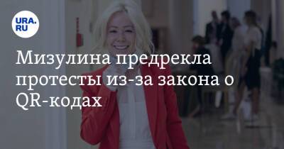 Екатерина Мизулина - Мизулина предрекла протесты из-за закона о QR-кодах. «Ситуация взрывоопасная» - ura.news - Россия