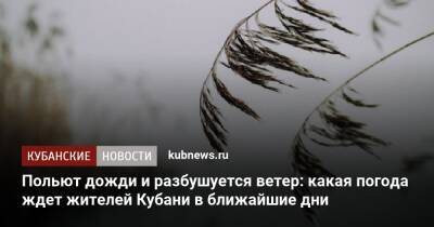 Польют дожди и разбушуется ветер: какая погода ждет жителей Кубани в ближайшие дни - kubnews.ru - Анапа - Краснодарский край - Кубань - Геленджик