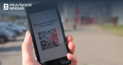Минздрав Татарстана объяснил, как получить республиканский QR-код - realnoevremya.ru - Россия - респ. Татарстан