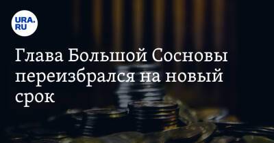 Глава Большой Сосновы переизбрался на новый срок - ura.news
