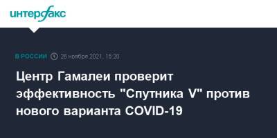 Александр Гинцбург - Центр Гамалеи проверит эффективность "Спутника V" против нового варианта COVID-19 - interfax.ru - Москва - Россия - Израиль - Гонконг - Юар - Ботсвана