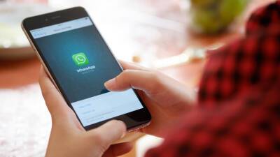 Пользователи WhatsApp смогут создавать собственные стикеры - mir24.tv