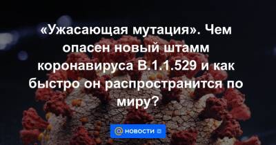 «Ужасающая мутация». Чем опасен новый штамм коронавируса B.1.1.529 и как быстро он распространится по миру? - news.mail.ru - Англия - Гонконг - Зимбабве - Намибия - Ботсвана - Лесото