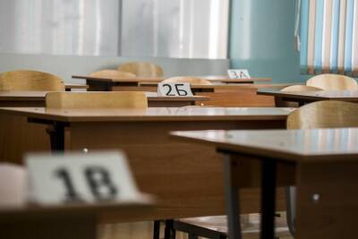 Густаво Зырянов - В Новосибирске пятиклассник напал с ножницами на учителя и школьников - sib.fm - Новосибирск