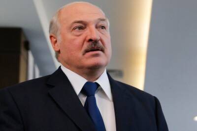 Александр Лукашенко - Лукашенко пообещал мигрантам не делать политику на их судьбах - mk.ru - Белоруссия