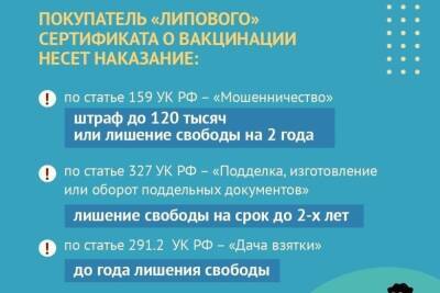 К сведению костромских антиваксеров: липовые сертификаты о прививках могут дорого обойтись - kostroma.mk.ru - Кострома