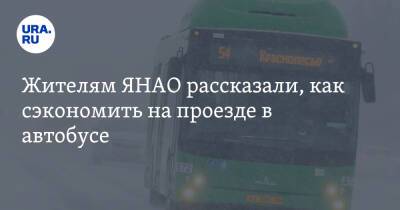 Жителям ЯНАО рассказали, как сэкономить на проезде в автобусе - ura.news - Ноябрьск - окр. Янао