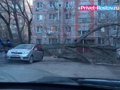 Экстренное предупреждение объявили в Ростове-на-Дону на 27 ноября из-за ураганного ветра - privet-rostov.ru - Ростов-На-Дону