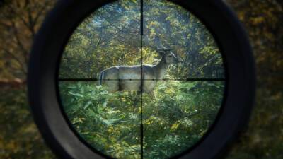 В Epic Games Store бесплатно раздают игру theHunter: Call of the Wild и Welcome Pack для игры Antstream - itc.ua - Украина