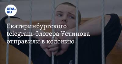 Александр Устинов - Екатеринбургского telegram-блогера Устинова отправили в колонию - ura.news - Москва - Екатеринбург