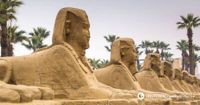 В Египте открыли древнюю Аллею сфинксов - фото и видео - obozrevatel.com - Египет