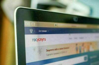 Заявления на пенсионное страхование можно будет подать на портале госуслуг - pnp.ru - Россия