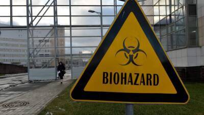 Новую мутацию коронавирусной инфекции из ЮАР назвали греческой буквой Омикрон - inforeactor.ru - Бельгия - Юар