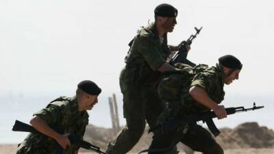 Петр I - Александр Казаков - 27 ноября — День морской пехоты России - 5-tv.ru - Россия