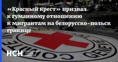 «Красный крест» призвал к гуманному отношению к мигрантам на белорусско-польской границе - nsn.fm - Доминика