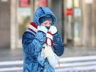 Роман Вильфанд - В Гидрометцентре предупредили о «неоднородной» зиме с морозами, про которые россияне «уже забыли» - rosbalt.ru - Москва - Россия