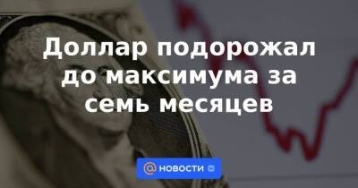 Доллар подорожал до максимума за семь месяцев - smartmoney.one - Reuters