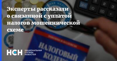 Эксперты рассказали о связанной с уплатой налогов мошеннической схеме - nsn.fm