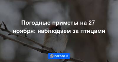 Екатерина Гура - Погодные приметы на 27 ноября: наблюдаем за птицами - news.mail.ru