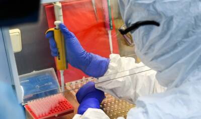 В ВОЗ сообщили, что все ПЦР-тесты распознают новый штамм коронавируса - nakanune.ru - Россия