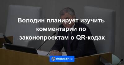 Володин планирует изучить комментарии по законопроектам о QR-кодах - news.mail.ru - Россия