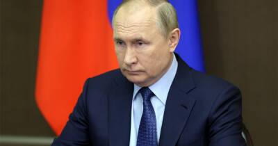 Владимир Путин - Путин уверен, что ЧЕ по дзюдо в России состоится на достойном уровне - ren.tv - Россия - Уфа