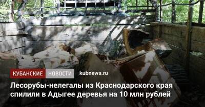 Лесорубы-нелегалы из Краснодарского края спилили в Адыгее деревья на 10 млн рублей - kubnews.ru - Краснодарский край - респ. Адыгея