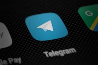 Павел Дуров - Telegram убрал скандальную анимацию баклажана и персика из-за претензий Apple - versia.ru