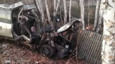 В Воронежской области пьяный автомобилист въехал в забор: погибла 25-летняя пассажирка - vestivrn.ru - Воронежская обл.