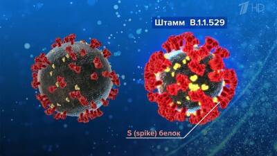 Авиасообщение с ЮАР закрывает все больше стран из-за нового штамма коронавируса - 1tv.ru - Юар - Йоханнесбург