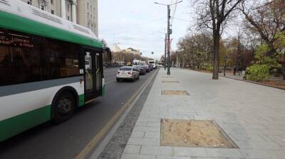 На главной улице Воронежа на сутки перекроют тротуары - vestivrn.ru - Воронеж