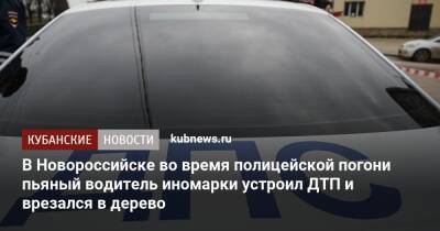 В Новороссийске во время полицейской погони пьяный водитель иномарки устроил ДТП и врезался в дерево - kubnews.ru - Краснодарский край - Новороссийск