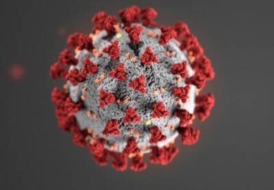 В Германии заподозрили первый случай штамма коронавируса Omicron - unn.com.ua - Украина - Киев - Германия - Юар