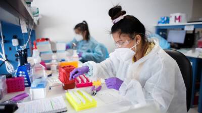 Андрей Бабиш - Европа ищет "омикрон": создатель AstraZeneca не прогнозирует новую волну - vesti.ru - Германия - Чехия - Голландия - Юар