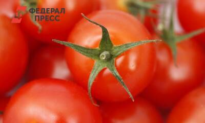 Почему томаты полезны для зрения и кожи: ответ китайских ученых - fedpress.ru - Москва