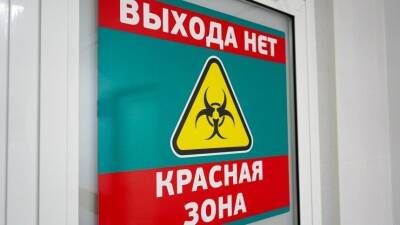 Блогер - Блогер-антиваксер устроил скандал и сорвал свой визит в «красную зону» - 5-tv.ru