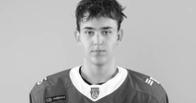 Умерший 16-летний хоккеист Родионов успешно проходил медобследование - ren.tv - Москва - Россия - Чехия - Словакия