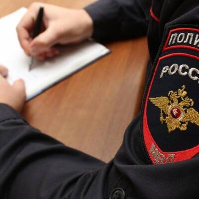 Ирина Волк - На устроившего погоню на МКАД водителя BMW завели уголовное дело - radiomayak.ru