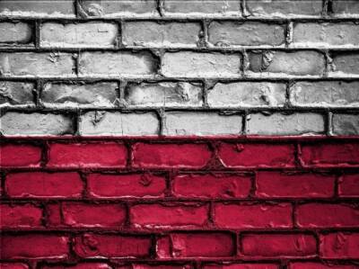 Матеуш Моравецкий - Владимир Рогов - Предложение Польши о дружбе может стать крайне опасным для России - newzfeed.ru - Москва - Россия - Китай - Польша - Варшава
