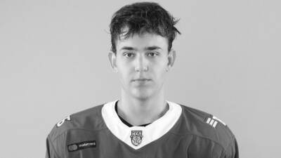Дмитрий Федоров - Умерший в 16 лет хоккеист «Динамо» Родионов в этом году потерял мать - 5-tv.ru
