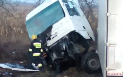 Сергей Шефир - В Молдове в аварии с участием грузовика погибло шесть человек - ru.slovoidilo.ua - Украина - Молдавия