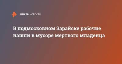 В подмосковном Зарайске рабочие нашли в мусоре мертвого младенца - ren.tv - Московская обл. - Зарайск - Московская область