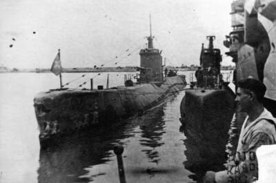 «Викинги-живодёры в советских территориальных водах»: как Норвегия третировала СССР - Русская семерка - russian7.ru - Норвегия - Россия - Русь - РСФСР