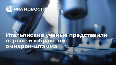 Итальянские ученые представили первое изображение белка омикрон-штамма коронавируса - ria.ru - Италия - Рим