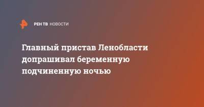 Главный пристав Ленобласти допрашивал беременную подчиненную ночью - ren.tv - Россия - Ленинградская обл.