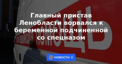 Главный пристав Ленобласти ворвался к беременной подчиненной со спецназом - news.mail.ru - Ленинградская обл.