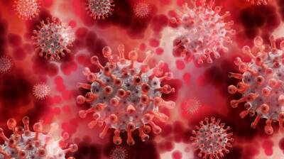 В Великобритании, Германии и Италии выявлены случаи заражения омикрон-штаммом коронавируса - dialog.tj - Англия - Бельгия - Италия - Израиль - Гонконг - Германия - Юар - Мюнхен