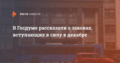 Вячеслав Володин - В Госдуме рассказали о законах, вступающих в силу в декабре - ren.tv - Россия